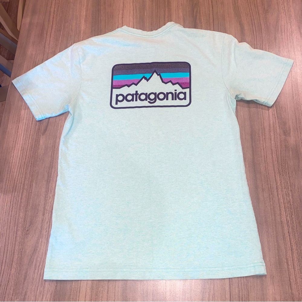 Patagonia Light Blue Responsibili-Tee